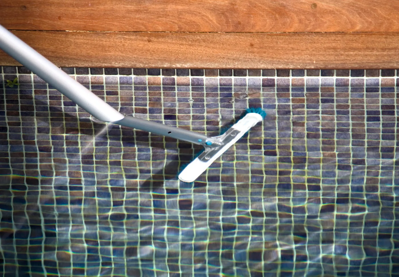 Spazzola per piscina NATERIAL De luxe per fondo piscina e parete della piscina e linea di galleggiamento 2